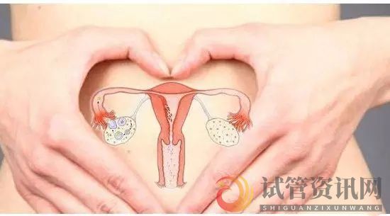 做试管没有可用卵子？保养卵巢很重要！(图3)
