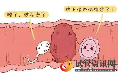 成都输卵管阻塞可以直接做试管婴儿吗(图1)