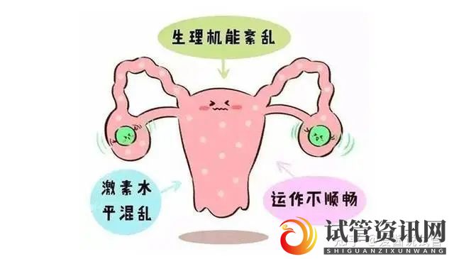 成都卵巢早衰,如何在试管中成功逆袭(图3)