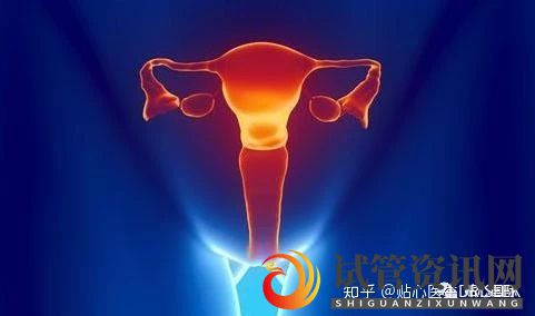 成都【贴心医生】卵巢早衰做试管婴儿的成功率_知乎_(图2)