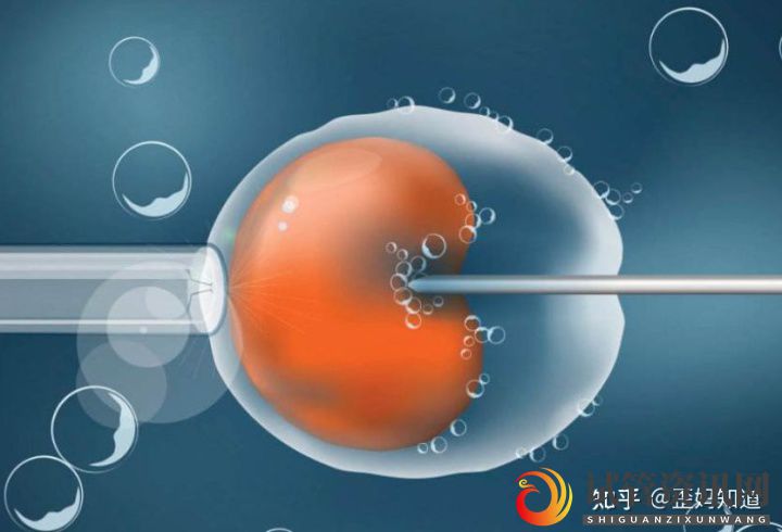 42岁赵小乔终于成功怀孕,曾做4次试管,孕16周胎(图11)