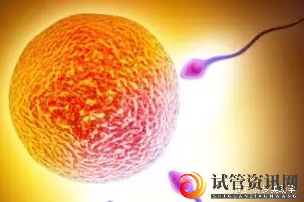 囊胚发育流程是怎样的,囊胚培育受哪些因素影响(图7)