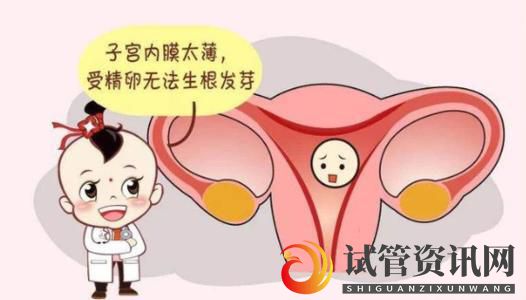 女性子宫内膜薄可以做试管婴儿吗？(图1)