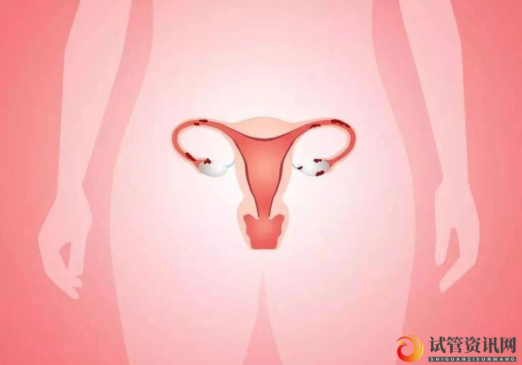 试管资讯网:试管婴儿取卵后子宫内膜达到多少才可以移植？(图3)