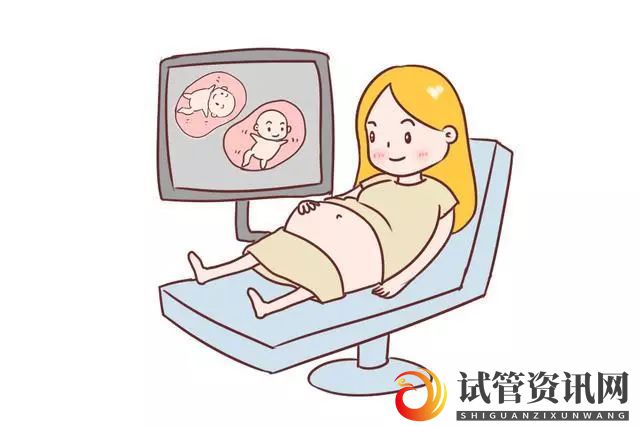 人工受孕、试管婴儿，怀双胞胎机率多高？妊娠注意事项指南(图3)