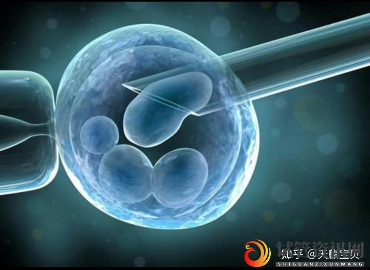 试管婴儿(又称体外受精,胚胎移植术)(图2)