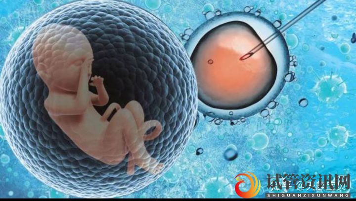 试管资讯网:试管婴儿(又称体外受精,胚胎移植术)(图3)