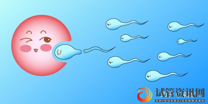 试管资讯网:人工授精和试管婴儿之间的区别是什么(图1)
