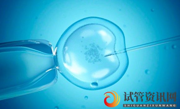 科学家发现使用胚胎图像挑选最佳胚胎的新技术(多囊卵巢能怀上孩子吗)(图1)