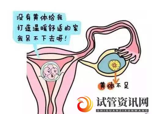 女性黄体功能不全可以选择试管婴儿吗(多囊卵巢能怀上孩子吗)(图1)