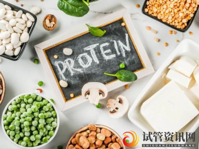 蛋白质可以促进体内新陈代谢