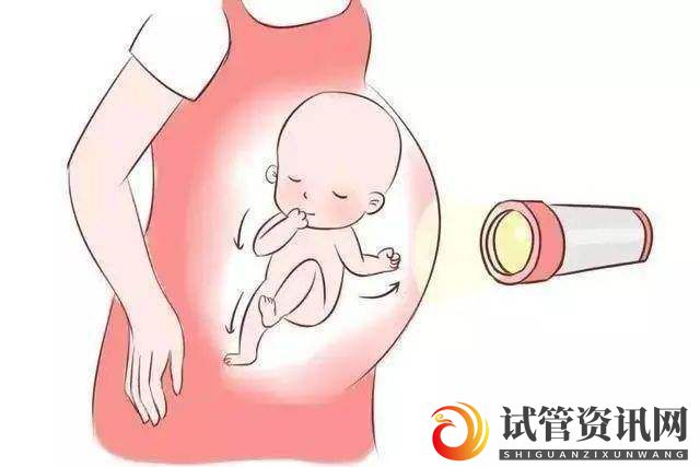 什么是影响试管婴儿成功率的因素？(图1)