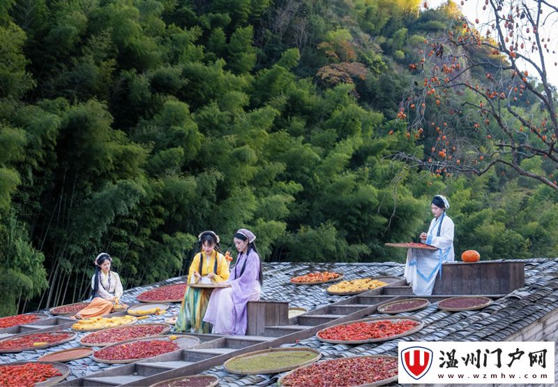 人间烟火入画来 楠溪江林坑古村晒出共富新画卷